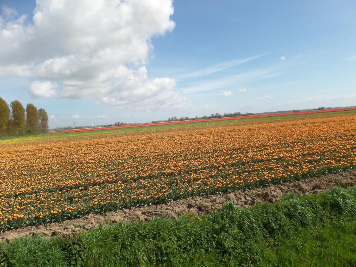 Bed en Breakfast en Bike Sommelsdijk Eksteriør billede
